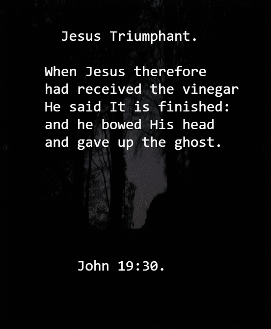 John 19 V 30.