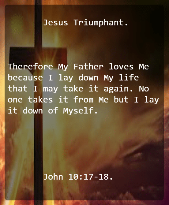 John 10v17 18