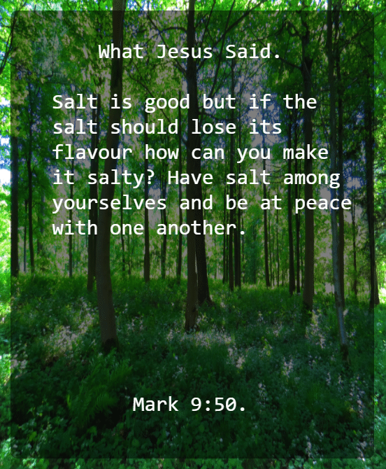 Mark 9v50