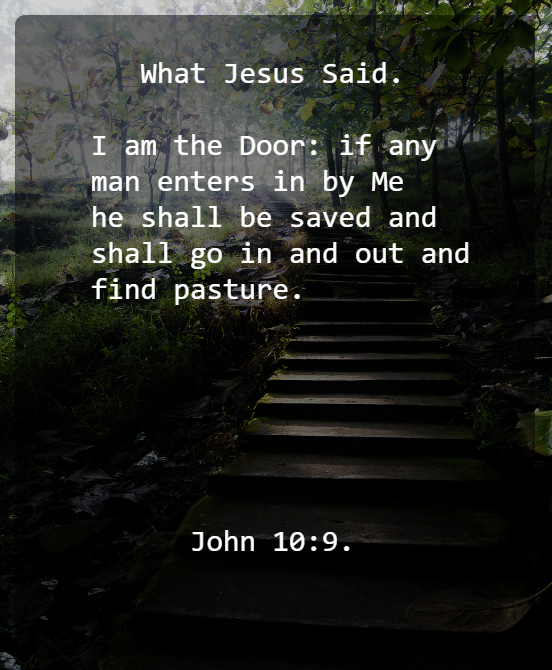 John 10 V 9