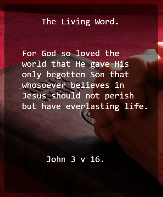 John 3v 16 New