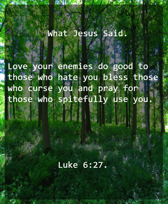 Luke 6 V 27