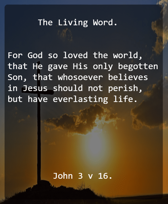 John 3 V 16