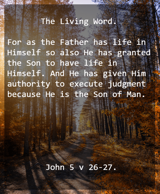 John 5;26 27