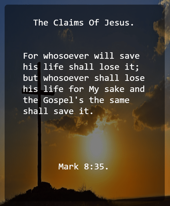 Mark 8 V 35