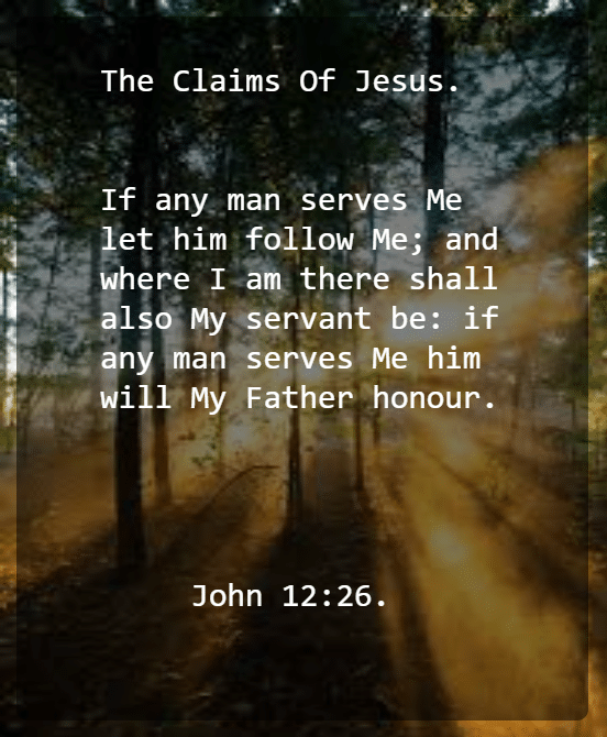 John 12 V 26