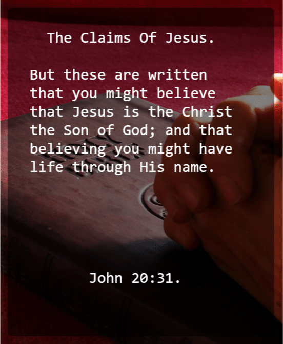 John 20 V 31