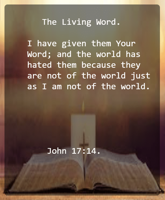 John 17 V 14 New