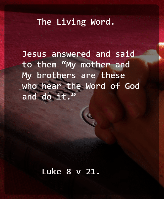 Luke 8 V 21 New