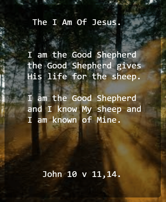 John 10 V 11,14