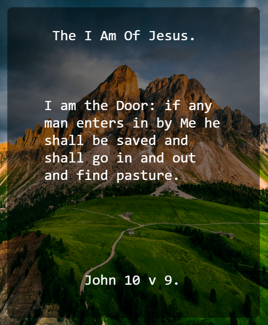 John 10 V 9