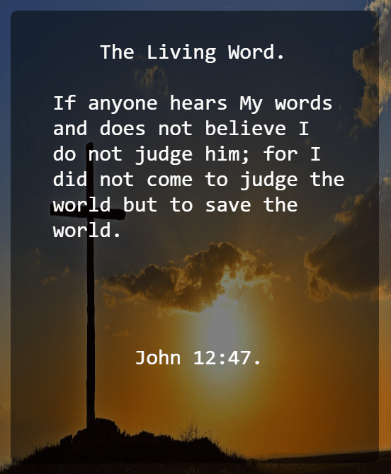 John 12 V 47