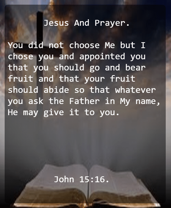 John 15 V 16