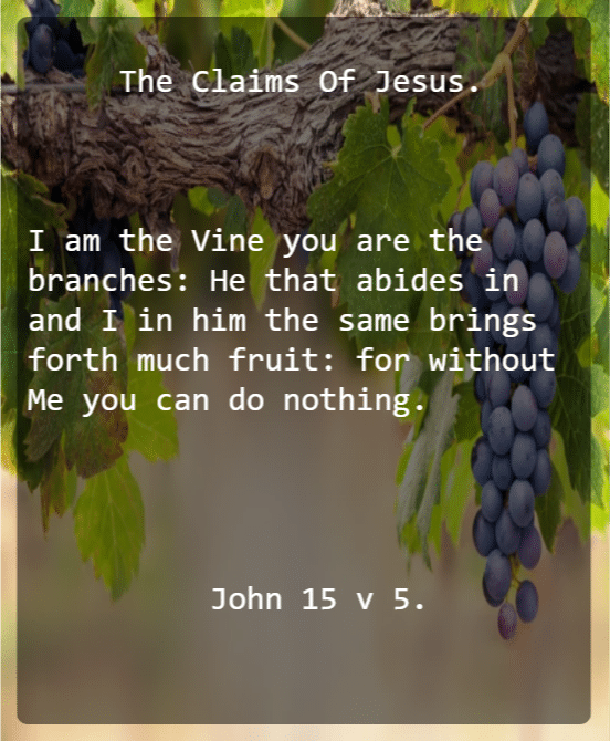 John 15 V 5