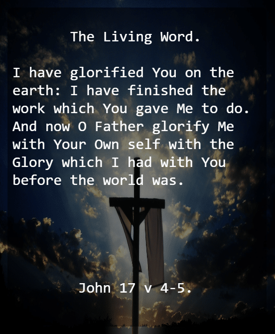 John 17 V 4 5