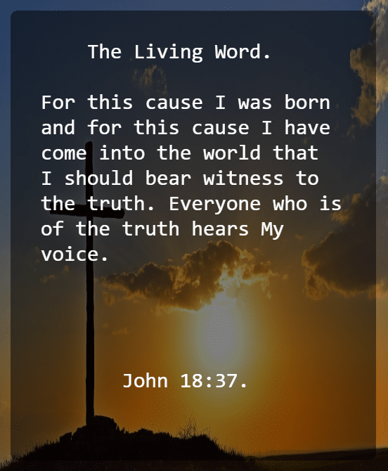 John 18 V 37